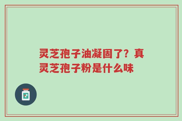 灵芝孢子油凝固了？真灵芝孢子粉是什么味-第1张图片-超越