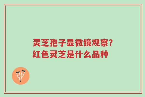 灵芝孢子显微镜观察?红色灵芝是什么品种-第1张图片-超越 灵芝孢子显微镜观察?红色灵芝是什么品种-第1张图片-超越