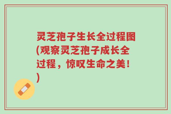 灵芝孢子生长全过程图(观察灵芝孢子成长全过程，惊叹生命之美！)-第1张图片-超越