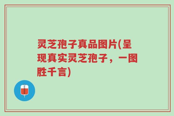 灵芝孢子真品图片(呈现真实灵芝孢子,一图胜千言)-第1张图片-超越 灵芝孢子真品图片(呈现真实灵芝孢子,一图胜千言)-第1张图片-超越