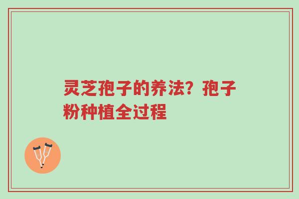灵芝孢子的养法?孢子粉种植全过程-第1张图片-超越 灵芝孢子的养法?孢子粉种植全过程-第1张图片-超越