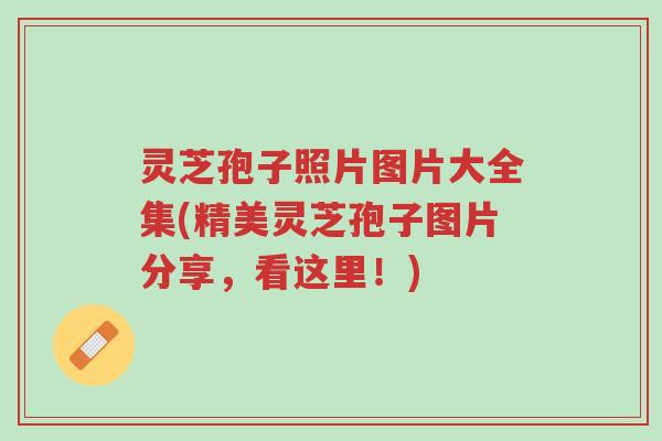 灵芝孢子照片图片大全集(精美灵芝孢子图片分享,看这里!)-第1张图片-超越 灵芝孢子照片图片大全集(精美灵芝孢子图片分享,看这里!)-第1张图片-超越