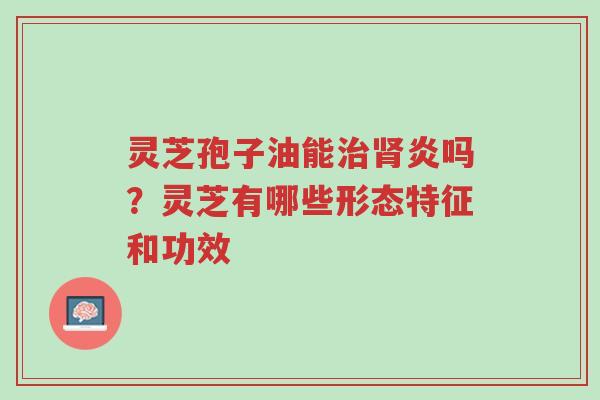 灵芝孢子油能治肾炎吗?灵芝有哪些形态特征和功效-第1张图片-超越 灵芝孢子油能治肾炎吗?灵芝有哪些形态特征和功效-第1张图片-超越