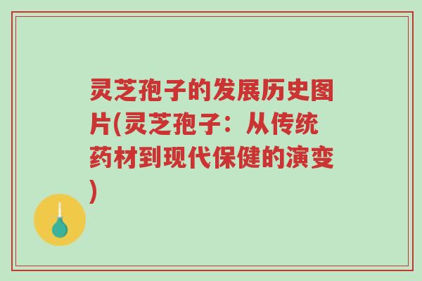 灵芝孢子的发展历史图片(灵芝孢子:从传统药材到现代保健的演变)-第1张图片-超越 灵芝孢子的发展历史图片(灵芝孢子:从传统药材到现代保健的演变)-第1张图片-超越