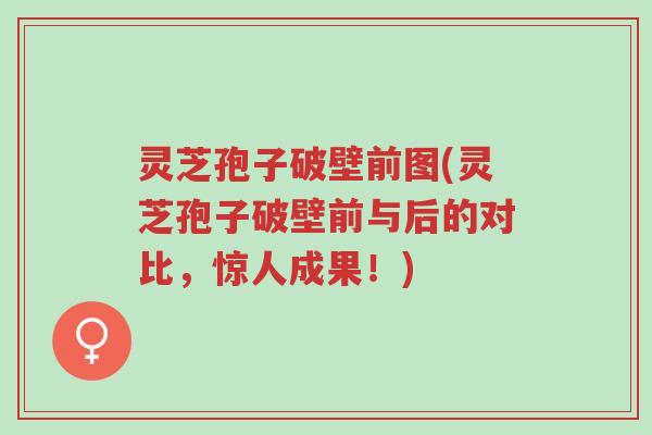 灵芝孢子破壁前图(灵芝孢子破壁前与后的对比,惊人成果!)-第1张图片-超越 灵芝孢子破壁前图(灵芝孢子破壁前与后的对比,惊人成果!)-第1张图片-超越