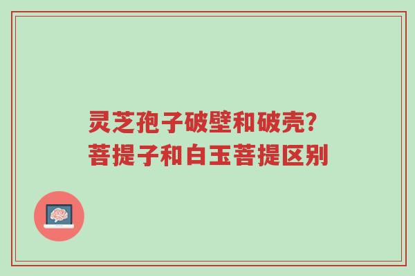 灵芝孢子破壁和破壳?菩提子和白玉菩提区别-第1张图片-超越 灵芝孢子破壁和破壳?菩提子和白玉菩提区别-第1张图片-超越