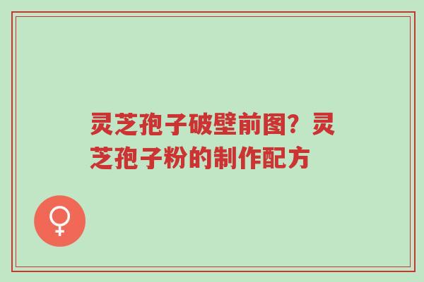 灵芝孢子破壁前图？灵芝孢子粉的制作配方-第1张图片-超越