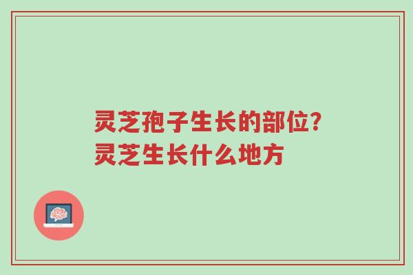 灵芝孢子生长的部位?灵芝生长什么地方-第1张图片-超越 灵芝孢子生长的部位?灵芝生长什么地方-第1张图片-超越