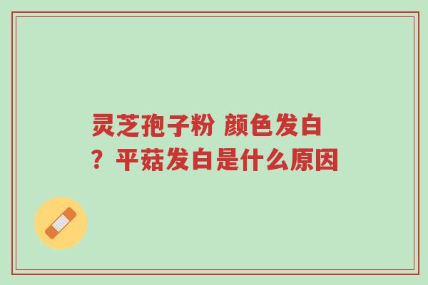 灵芝孢子粉 颜色发白？平菇发白是什么原因-第1张图片-超越