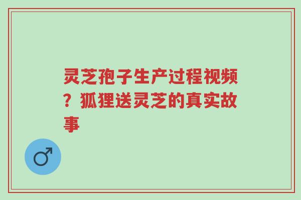 灵芝孢子生产过程视频?狐狸送灵芝的真实故事-第1张图片-超越 灵芝孢子生产过程视频?狐狸送灵芝的真实故事-第1张图片-超越