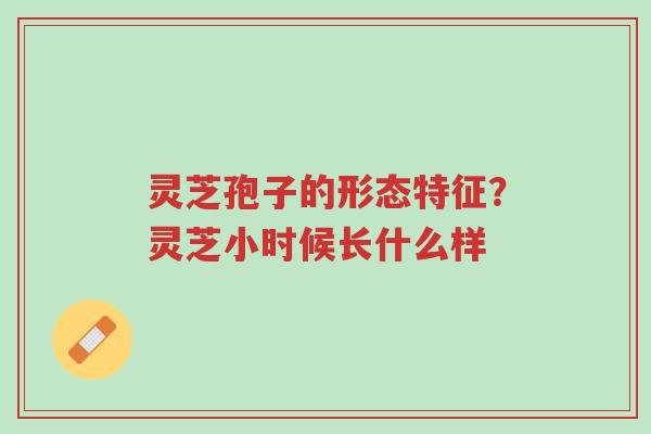 灵芝孢子的形态特征?灵芝小时候长什么样-第1张图片-超越 灵芝孢子的形态特征?灵芝小时候长什么样-第1张图片-超越