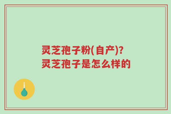 灵芝孢子粉(自产)？灵芝孢子是怎么样的-第1张图片-超越