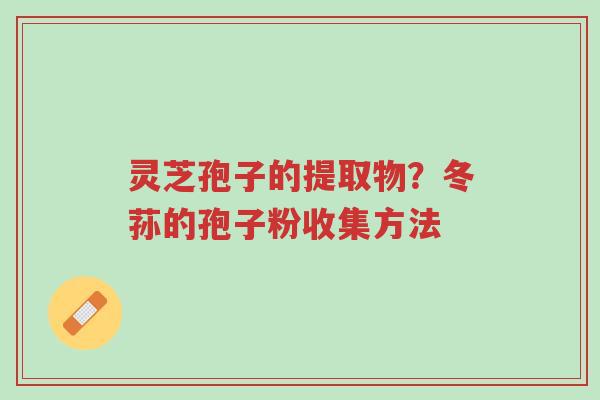 灵芝孢子的提取物？冬荪的孢子粉收集方法-第1张图片-超越