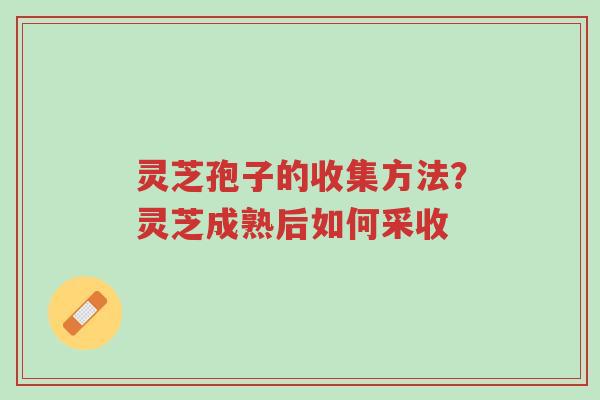 灵芝孢子的收集方法?灵芝成熟后如何采收-第1张图片-超越 灵芝孢子的收集方法?灵芝成熟后如何采收-第1张图片-超越