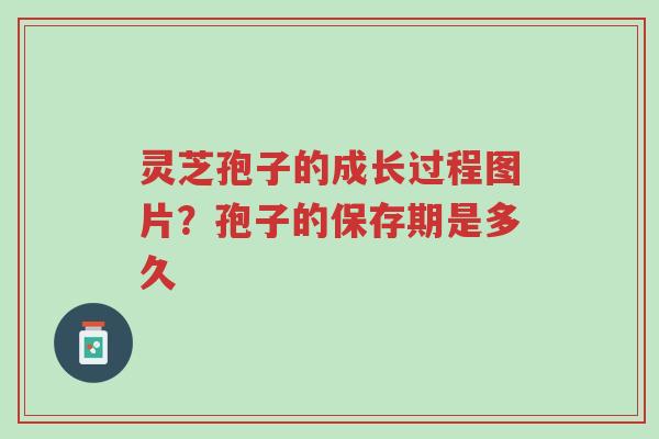 灵芝孢子的成长过程图片?孢子的保存期是多久-第1张图片-超越 灵芝孢子的成长过程图片?孢子的保存期是多久-第1张图片-超越