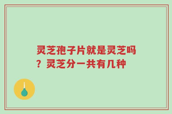 灵芝孢子片就是灵芝吗?灵芝分一共有几种-第1张图片-超越 灵芝孢子片就是灵芝吗?灵芝分一共有几种-第1张图片-超越