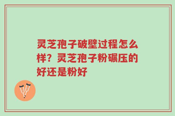 灵芝孢子破壁过程怎么样?灵芝孢子粉碾压的好还是粉好-第1张图片-超越 灵芝孢子破壁过程怎么样?灵芝孢子粉碾压的好还是粉好-第1张图片-超越