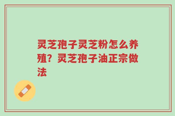 灵芝孢子灵芝粉怎么养殖?灵芝孢子油正宗做法-第1张图片-超越 灵芝孢子灵芝粉怎么养殖?灵芝孢子油正宗做法-第1张图片-超越