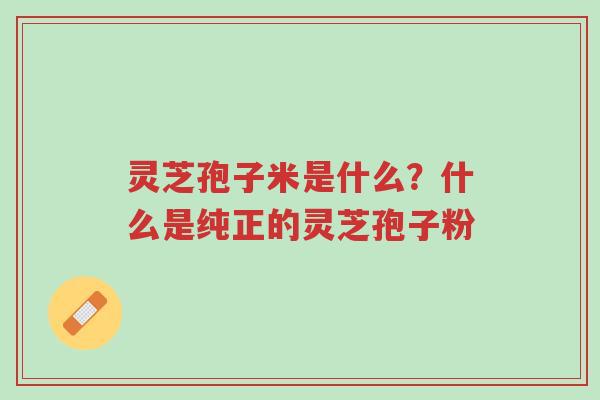 灵芝孢子米是什么?什么是纯正的灵芝孢子粉-第1张图片-超越 灵芝孢子米是什么?什么是纯正的灵芝孢子粉-第1张图片-超越