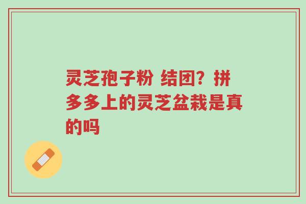 灵芝孢子粉 结团?拼多多上的灵芝盆栽是真的吗-第1张图片-超越 灵芝孢子粉 结团?拼多多上的灵芝盆栽是真的吗-第1张图片-超越