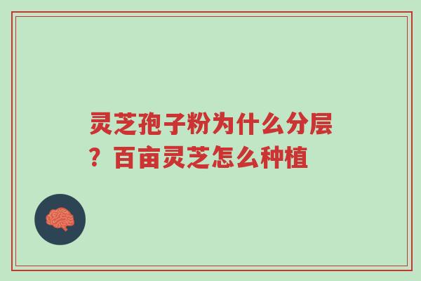 灵芝孢子粉为什么分层?百亩灵芝怎么种植-第1张图片-超越 灵芝孢子粉为什么分层?百亩灵芝怎么种植-第1张图片-超越
