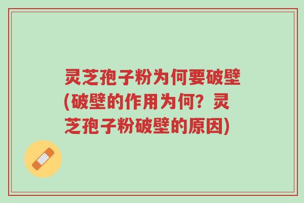 灵芝孢子粉为何要破壁(破壁的作用为何?灵芝孢子粉破壁的原因)-第1张图片-超越 灵芝孢子粉为何要破壁(破壁的作用为何?灵芝孢子粉破壁的原因)-第1张图片-超越
