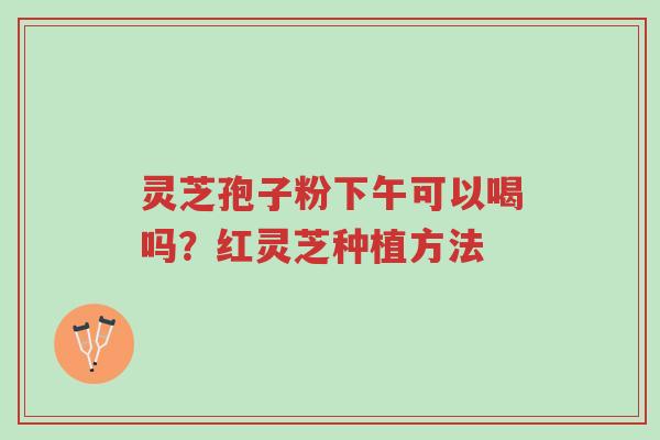 灵芝孢子粉下午可以喝吗?红灵芝种植方法-第1张图片-超越 灵芝孢子粉下午可以喝吗?红灵芝种植方法-第1张图片-超越