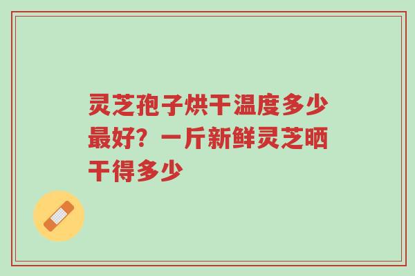 灵芝孢子烘干温度多少最好?一斤新鲜灵芝晒干得多少-第1张图片-超越 灵芝孢子烘干温度多少最好?一斤新鲜灵芝晒干得多少-第1张图片-超越