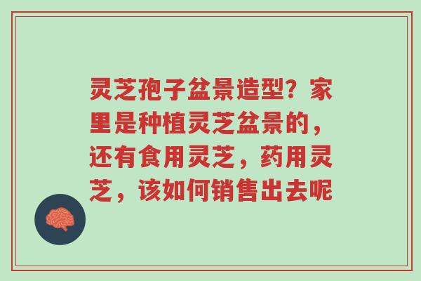灵芝孢子盆景造型?家里是种植灵芝盆景的,还有食用灵芝,药用灵芝,该如何销售出去呢-第1张图片-超越 灵芝孢子盆景造型?家里是种植灵芝盆景的,还有食用灵芝,药用灵芝,该如何销售出去呢-第1张图片-超越