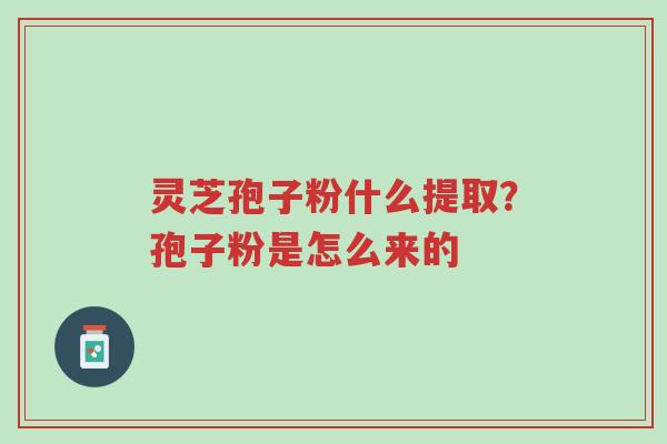 灵芝孢子粉什么提取?孢子粉是怎么来的-第1张图片-超越 灵芝孢子粉什么提取?孢子粉是怎么来的-第1张图片-超越