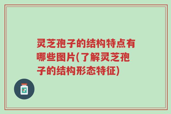 灵芝孢子的结构特点有哪些图片(了解灵芝孢子的结构形态特征)-第1张图片-超越 灵芝孢子的结构特点有哪些图片(了解灵芝孢子的结构形态特征)-第1张图片-超越