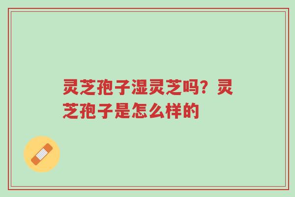 灵芝孢子湿灵芝吗?灵芝孢子是怎么样的-第1张图片-超越 灵芝孢子湿灵芝吗?灵芝孢子是怎么样的-第1张图片-超越