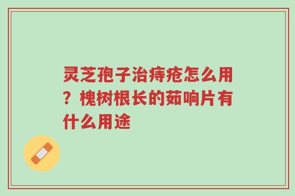 灵芝孢子治痔疮怎么用？槐树根长的茹响片有什么用途-第1张图片-超越