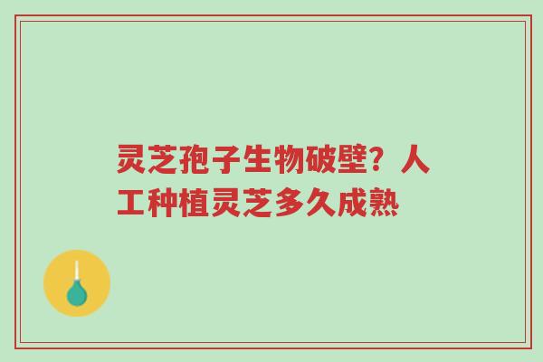 灵芝孢子生物破壁?人工种植灵芝多久成熟-第1张图片-超越 灵芝孢子生物破壁?人工种植灵芝多久成熟-第1张图片-超越