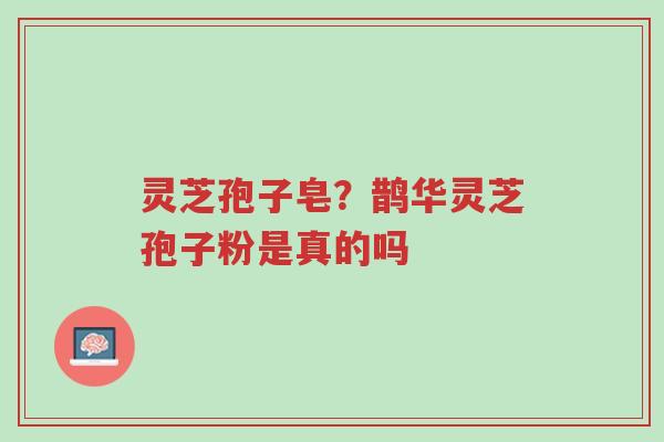 灵芝孢子皂?鹊华灵芝孢子粉是真的吗-第1张图片-超越 灵芝孢子皂?鹊华灵芝孢子粉是真的吗-第1张图片-超越