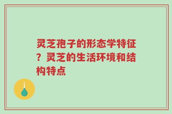 灵芝孢子的形态学特征?灵芝的生活环境和结构特点-第1张图片-超越 灵芝孢子的形态学特征?灵芝的生活环境和结构特点-第1张图片-超越
