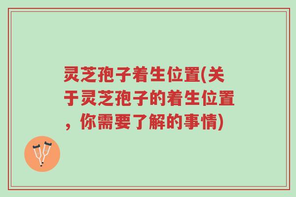 灵芝孢子着生位置(关于灵芝孢子的着生位置,你需要了解的事情)-第1张图片-超越 灵芝孢子着生位置(关于灵芝孢子的着生位置,你需要了解的事情)-第1张图片-超越