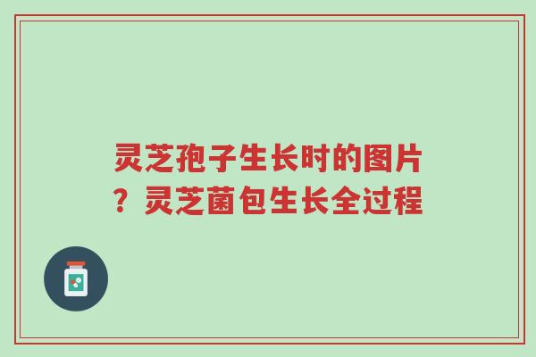 灵芝孢子生长时的图片?灵芝菌包生长全过程-第1张图片-超越 灵芝孢子生长时的图片?灵芝菌包生长全过程-第1张图片-超越