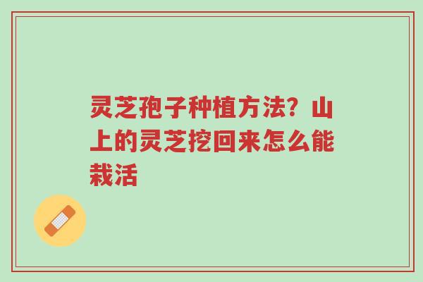 灵芝孢子种植方法?山上的灵芝挖回来怎么能栽活-第1张图片-超越 灵芝孢子种植方法?山上的灵芝挖回来怎么能栽活-第1张图片-超越
