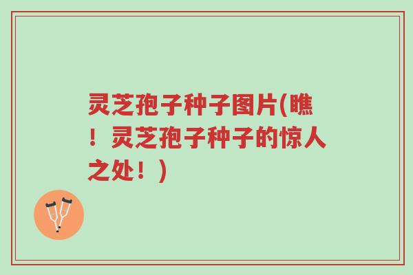 灵芝孢子种子图片(瞧!灵芝孢子种子的惊人之处!)-第1张图片-超越 灵芝孢子种子图片(瞧!灵芝孢子种子的惊人之处!)-第1张图片-超越