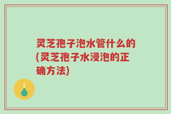 灵芝孢子泡水管什么的(灵芝孢子水浸泡的正确方法)-第1张图片-超越