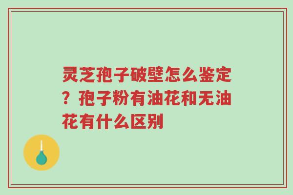 灵芝孢子破壁怎么鉴定?孢子粉有油花和无油花有什么区别-第1张图片-超越 灵芝孢子破壁怎么鉴定?孢子粉有油花和无油花有什么区别-第1张图片-超越