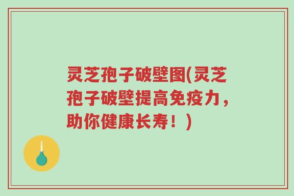 灵芝孢子破壁图(灵芝孢子破壁提高免疫力,助你健康长寿!)-第1张图片-超越 灵芝孢子破壁图(灵芝孢子破壁提高免疫力,助你健康长寿!)-第1张图片-超越