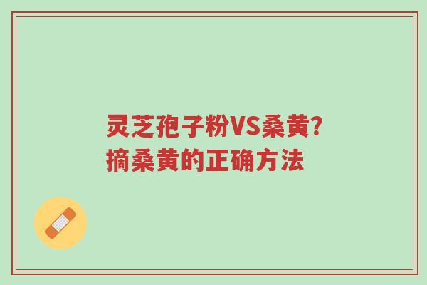 灵芝孢子粉VS桑黄?摘桑黄的正确方法-第1张图片-超越 灵芝孢子粉VS桑黄?摘桑黄的正确方法-第1张图片-超越