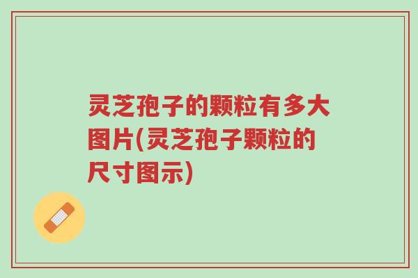 灵芝孢子的颗粒有多大图片(灵芝孢子颗粒的尺寸图示)-第1张图片-超越
