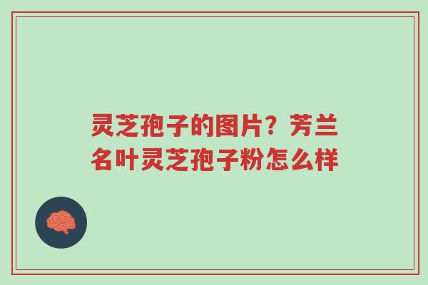 灵芝孢子的图片?芳兰名叶灵芝孢子粉怎么样-第1张图片-超越 灵芝孢子的图片?芳兰名叶灵芝孢子粉怎么样-第1张图片-超越