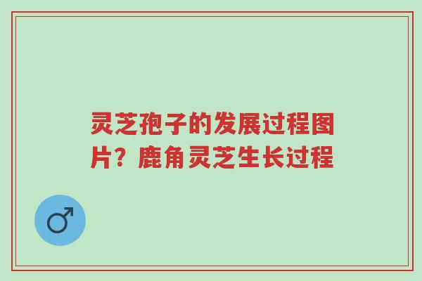 灵芝孢子的发展过程图片?鹿角灵芝生长过程-第1张图片-超越 灵芝孢子的发展过程图片?鹿角灵芝生长过程-第1张图片-超越