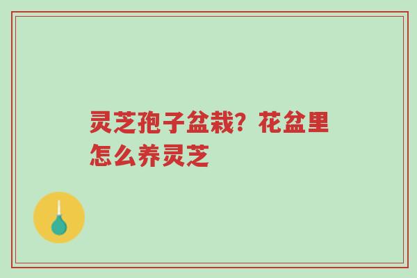 灵芝孢子盆栽?花盆里怎么养灵芝-第1张图片-超越 灵芝孢子盆栽?花盆里怎么养灵芝-第1张图片-超越