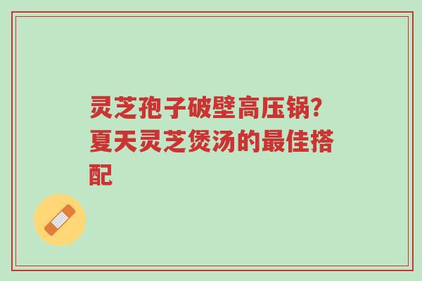 灵芝孢子破壁高压锅?夏天灵芝煲汤的最佳搭配-第1张图片-超越 灵芝孢子破壁高压锅?夏天灵芝煲汤的最佳搭配-第1张图片-超越