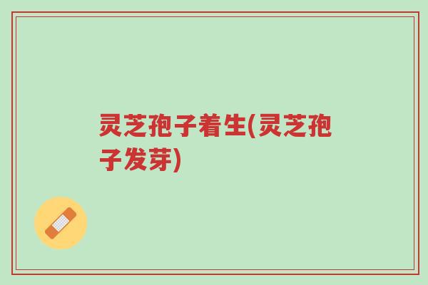 灵芝孢子着生(灵芝孢子发芽)-第1张图片-超越